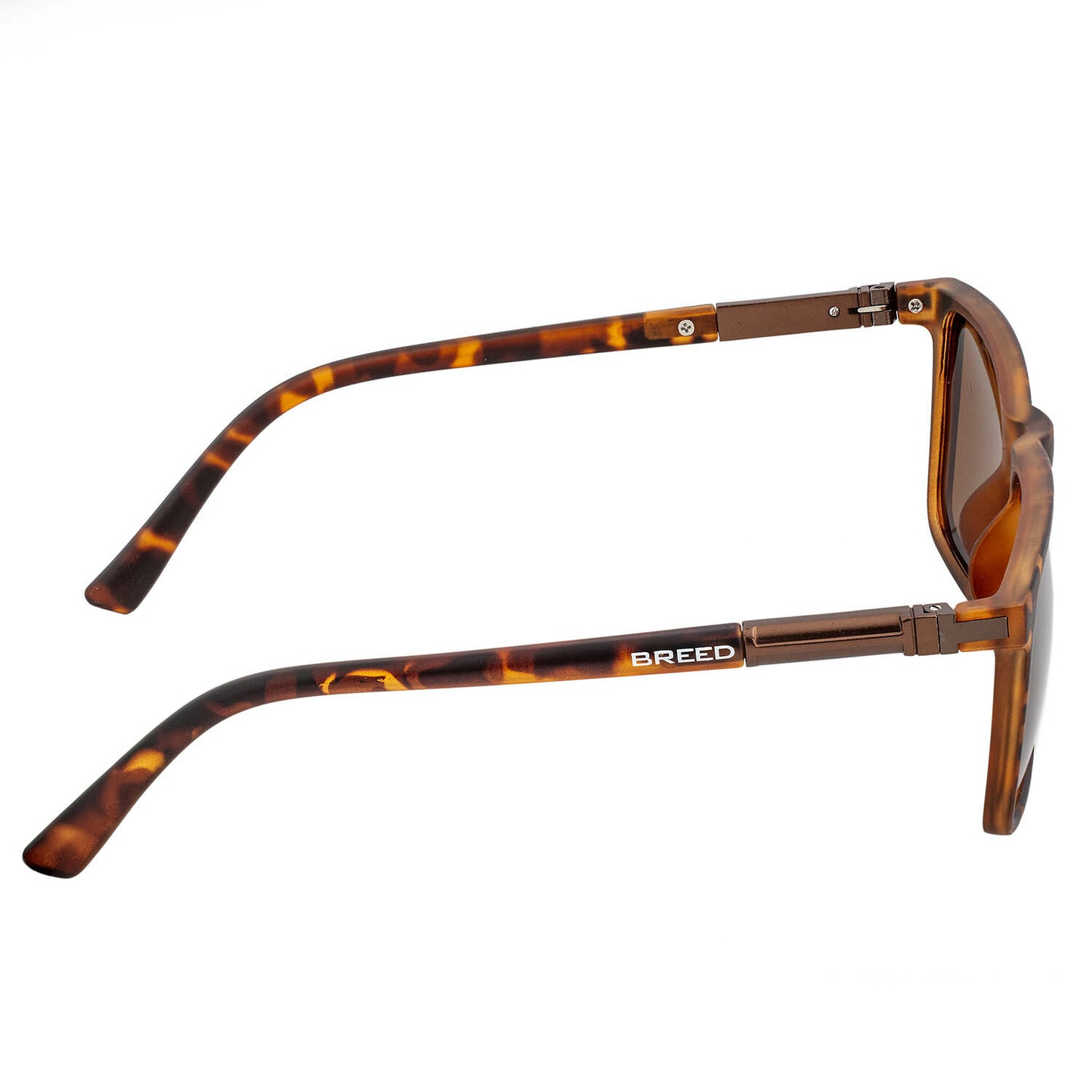 Caelum Polarized Sunglasses - Tortoise + Brown