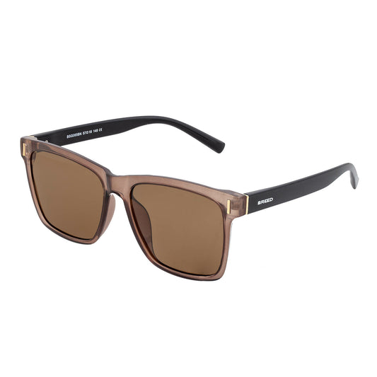 Pictor Polarized Sunglasses - Brown