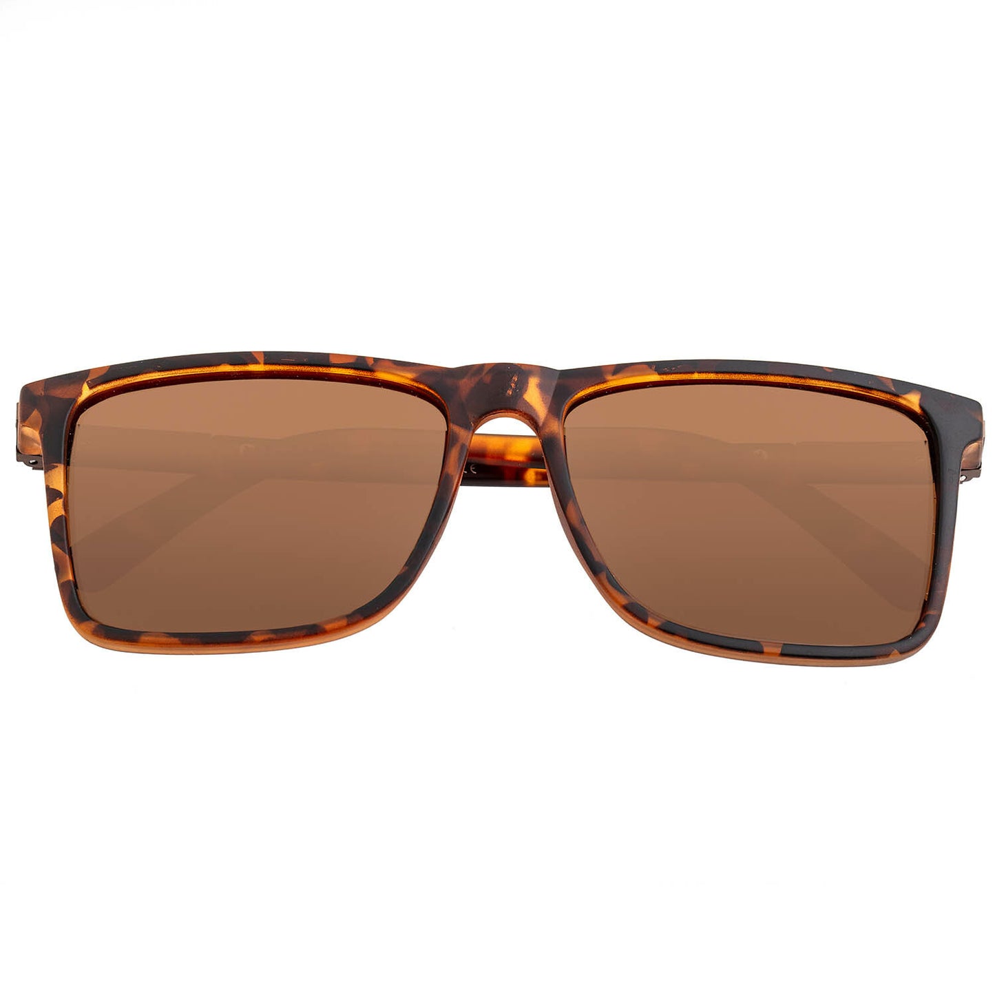 Caelum Polarized Sunglasses - Tortoise + Brown