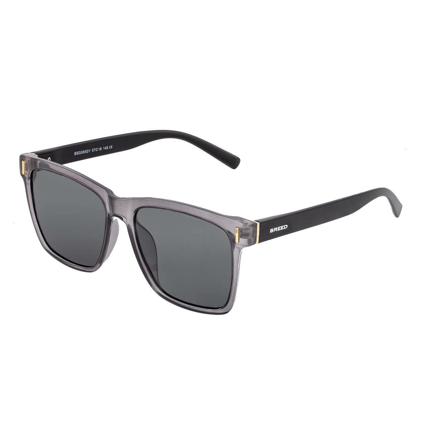 Pictor Polarized Sunglasses - Gray + Black