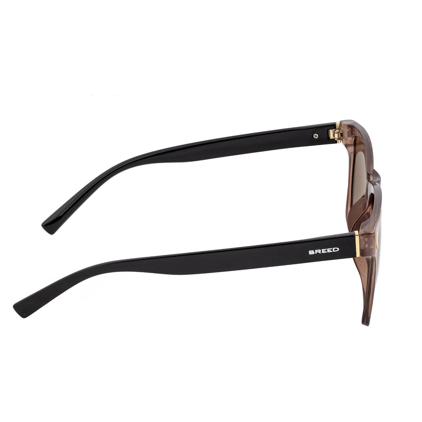 Pictor Polarized Sunglasses - Brown