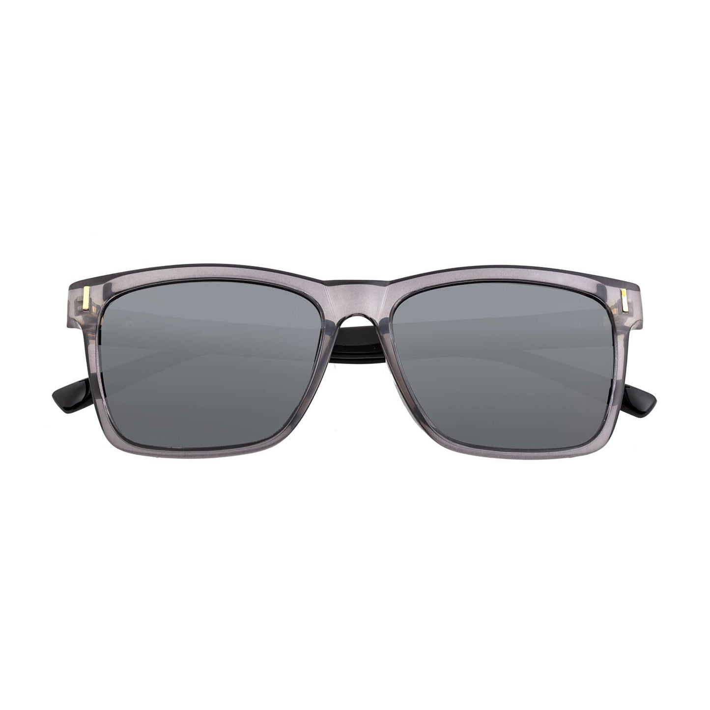 Pictor Polarized Sunglasses - Gray + Black